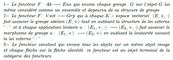 27-exemples-de-foncteurs : Foncteurs conservatifs Trivialement, tout foncteur F : C → D préserve les isomorphismes, c'est-à-dire que si f est un isomorphisme dans C alors F(f) est un isomorphisme dans D. Le foncteur F est dit conservatif si réciproquement, un morphisme f dans C est un isomorphisme dès que F(f) en est un dans D. Exemples Un morphisme F de monoïdes (cf. fin du § « Exemples » ci-dessus) est conservatif si et seulement si tout antécédent par F d'un élément inversible est inversible. Tout foncteur pleinement fidèle est conservatif. Le foncteur d'oubli de Grp dans Set est conservatif. Foncteurs adjoints Article détaillé : Foncteur adjoint. Soient C et D deux catégories, F un foncteur de C dans D et G de D dans C, tels que pour tout objet X \in C et Y \in D on ait une bijection, naturelle en X et Y, {\rm Hom}_D \left( F \left (X \right), Y\right)\simeq{\rm Hom}_C \left( X , G \left (Y \right) \right). Alors F est dit adjoint à gauche de G, et G adjoint à droite de F.