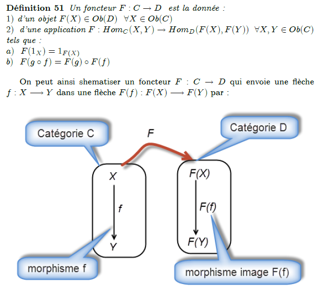 25-définition-d-un-foncteur : Un foncteur (ou foncteur covariant) F : C → D d'une catégorie C dans une catégorie D est la donnée d'une fonction qui, à tout objet X de C, associe un objet F(X) de D, d'une fonction qui, à tout morphisme f : X → Y de C, associe un morphisme F(f) : F(X) → F(Y) de D, qui respectent les identités : pour tout objet X de C,F(\mathrm{Id}_A)=\mathrm {Id}_{F(A)}, respectent la composition : pour tous objets X, Y et Z et morphismes f : X → Y et g : Y → Z de C,F(g\circ f)=F(g)\circ F(f). Un foncteur contravariant G d'une catégorie C dans une catégorie D est un foncteur covariant de la catégorie opposée Cop dans D. À tout morphisme f : X → Y de C, il associe donc un morphisme G(f) : G(Y) → G(X) de D, et l'on a la « relation de compatibilité » G(g ∘ f) = G(f) ∘ G(g).