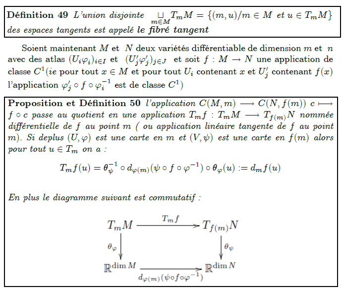 Fibré tangent  <definition/>L'union disjointe  ⊔T_{m}M= {(m,u)/m∈M et u∈T_{m}M}  des espaces tangents est appelé le fibré tangent      Soient maintenant M et  N deux variétés différentiable de dimension m et  n avec des atlas (U_{i}ϕ_{i})_{i∈I} et  (U_{j}′ϕ_{j}′)_{j∈J}  et soit f:M→N une application de classe C¹(ie pour tout x∈M et pour tout U_{i} contenant x et U_{j}′ contenant f(x) l'application ϕ_{j}′∘f∘ϕ_{i}⁻¹ est de classe C¹)  <proposition-def/>l'application C(M,m)→C(N,f(m)) c↦f∘c passe au quotient en une application T_{m}f:T_{m}M→T_{f(m)}N nommée différentielle de f au point m ( ou application linéaire tangente de f au point m). Si deplus (U,ϕ) est une carte en m et (V,ψ) est une carte en f(m) alors pour tout u∈T_{m} on a :  	T_{m}f(u)=θ_{ψ}⁻¹∘d_{ϕ(m)}(ψ∘f∘ϕ⁻¹)∘θ_{ϕ}(u):=d_{m}f(u)  En plus le diagramme suivant est commutatif :