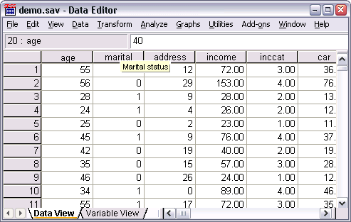 4-dataeditor_varlabel-spss
