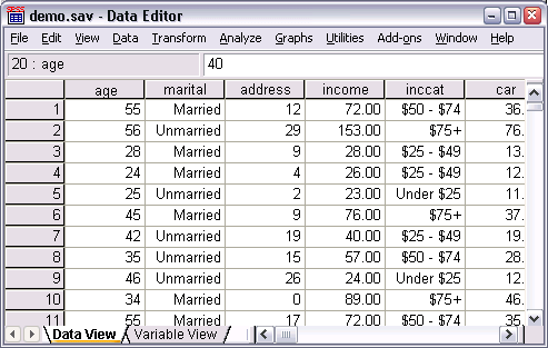 7-dataeditor_vallabels-spss