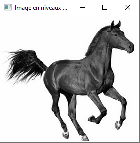 niveau de gris opencv formule de luminance