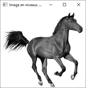 convertir en niveau de gris opencv cvtColor