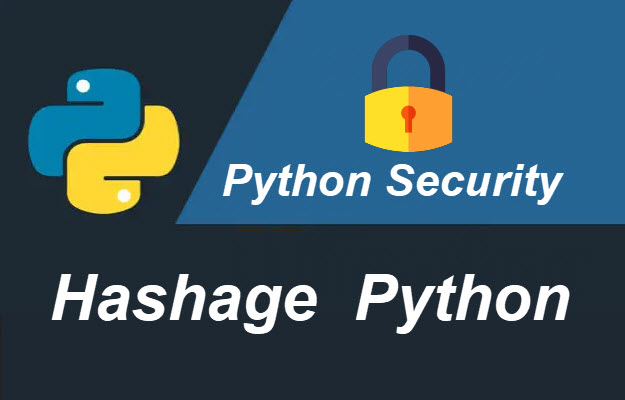 Hashage Python - sécurité python avec le module hashlib